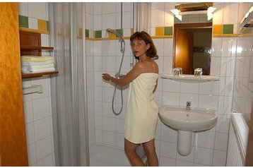 Austria Penzión Puchberg am Schneeberg, Interno